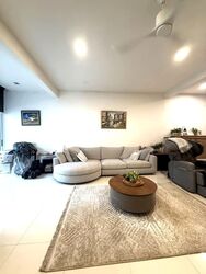 Wellington Park (D20), Terrace #554129861